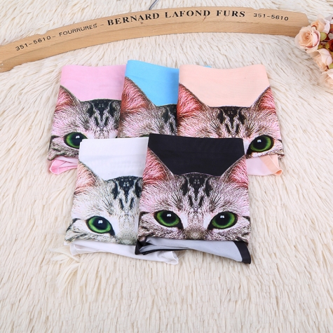 cute cartoon kitty cat panty underwear
